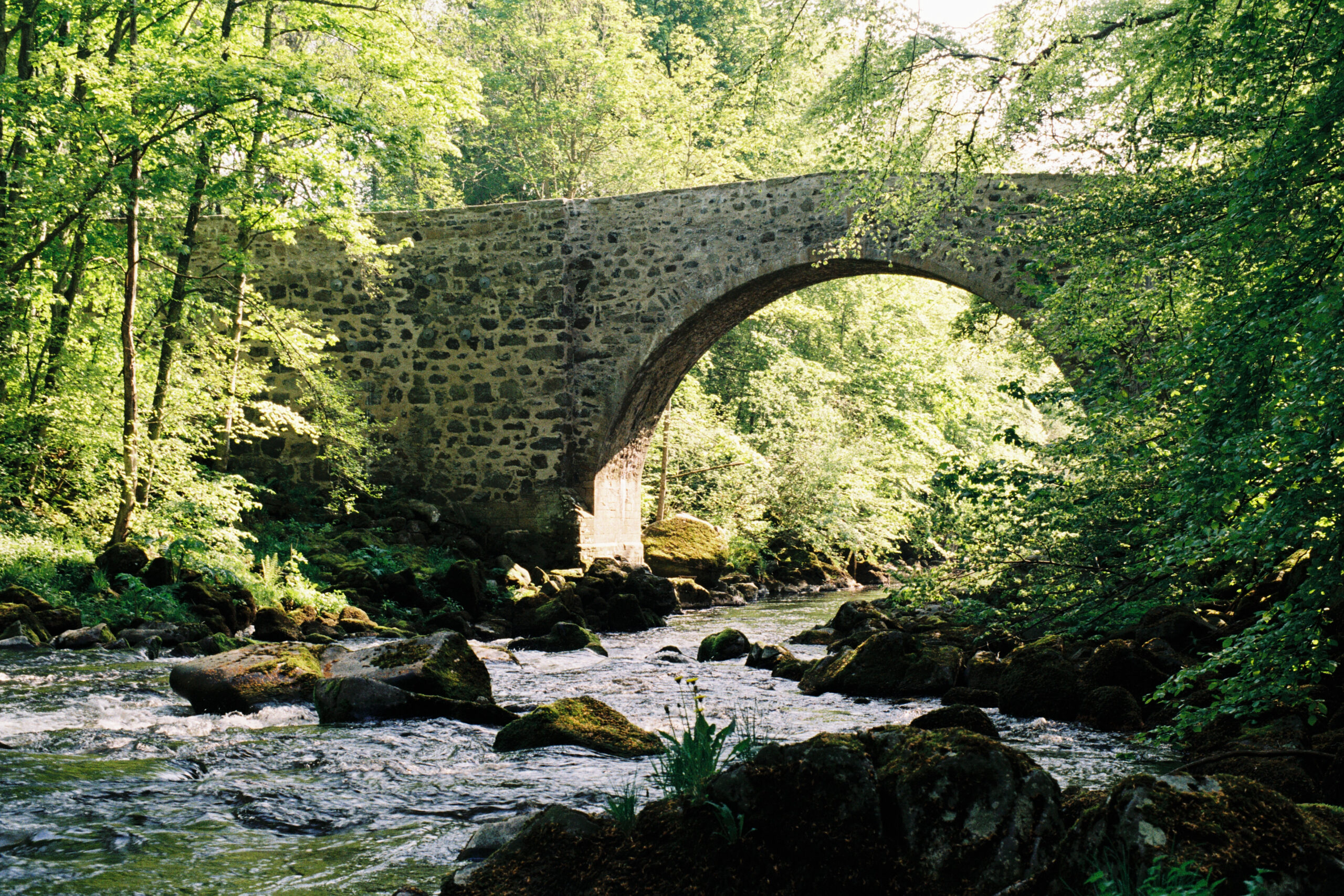 Fuji Gold 200, April 2024