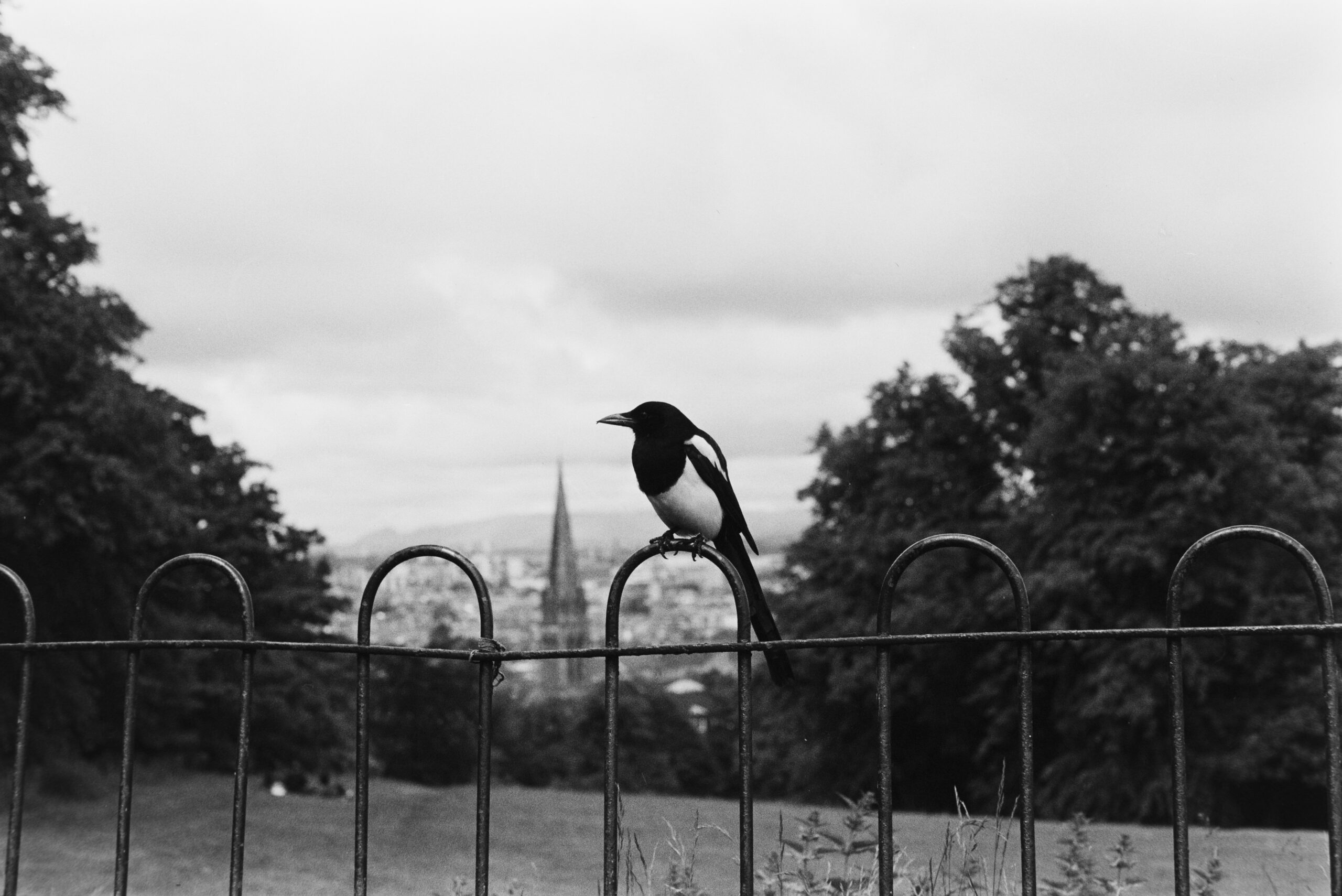 Queen’s Park, Summer 2024