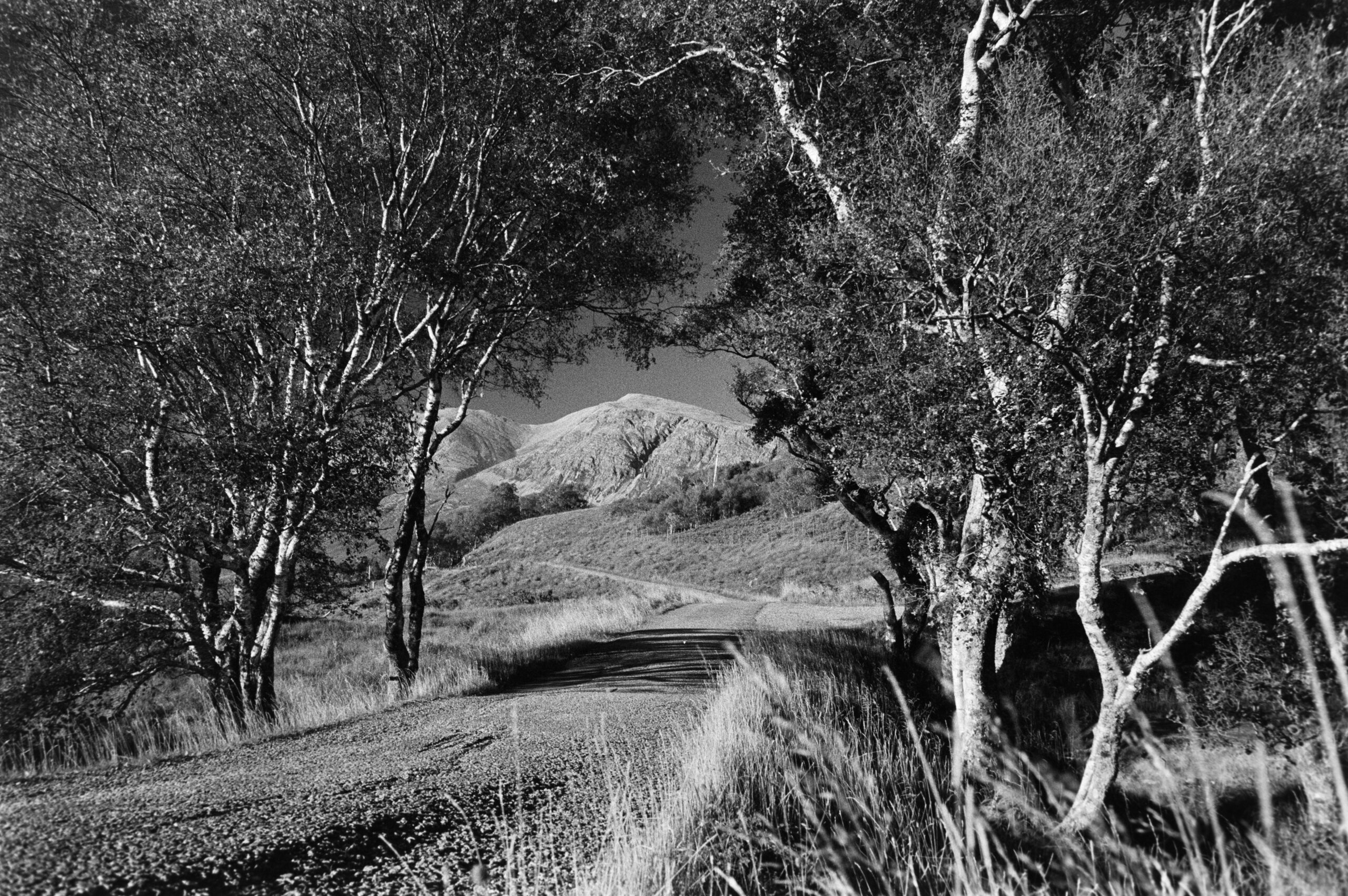 Arkle & Foinaven, September 2024