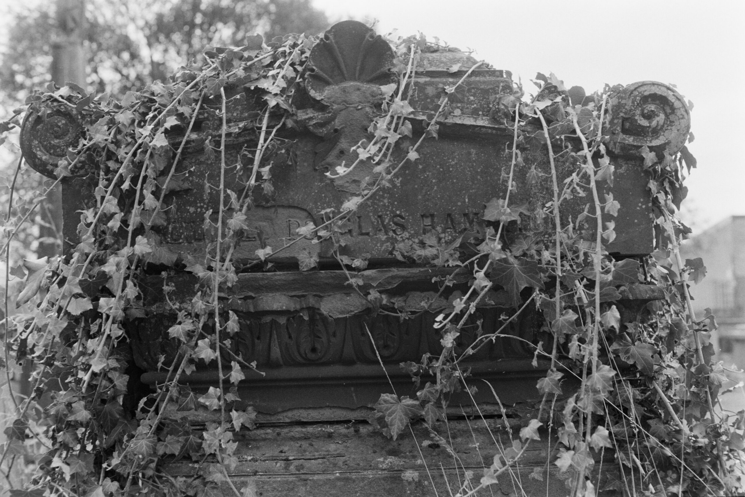 Southern Necropolis, September 2024