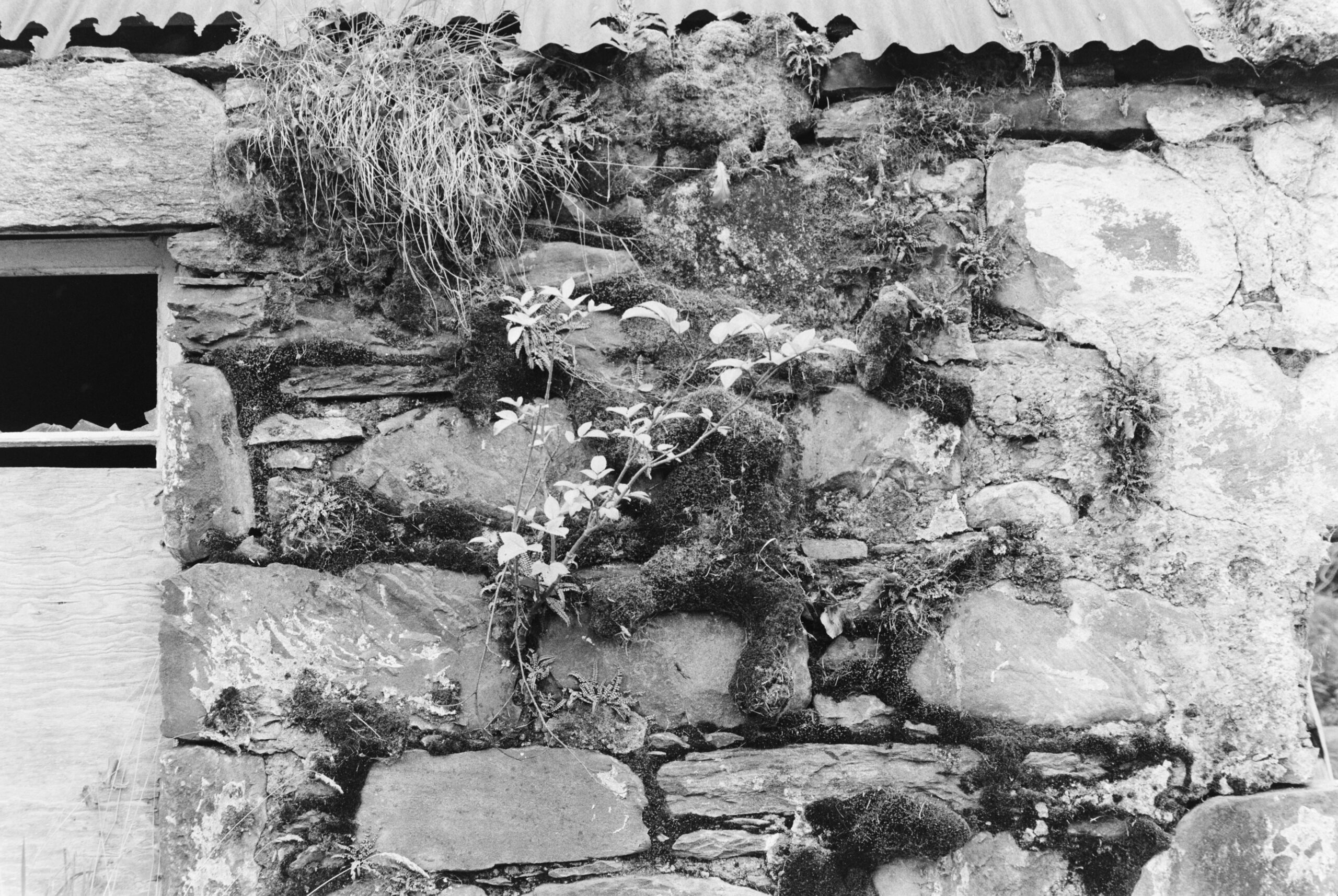 Aullt a-Chruinn, October 2024