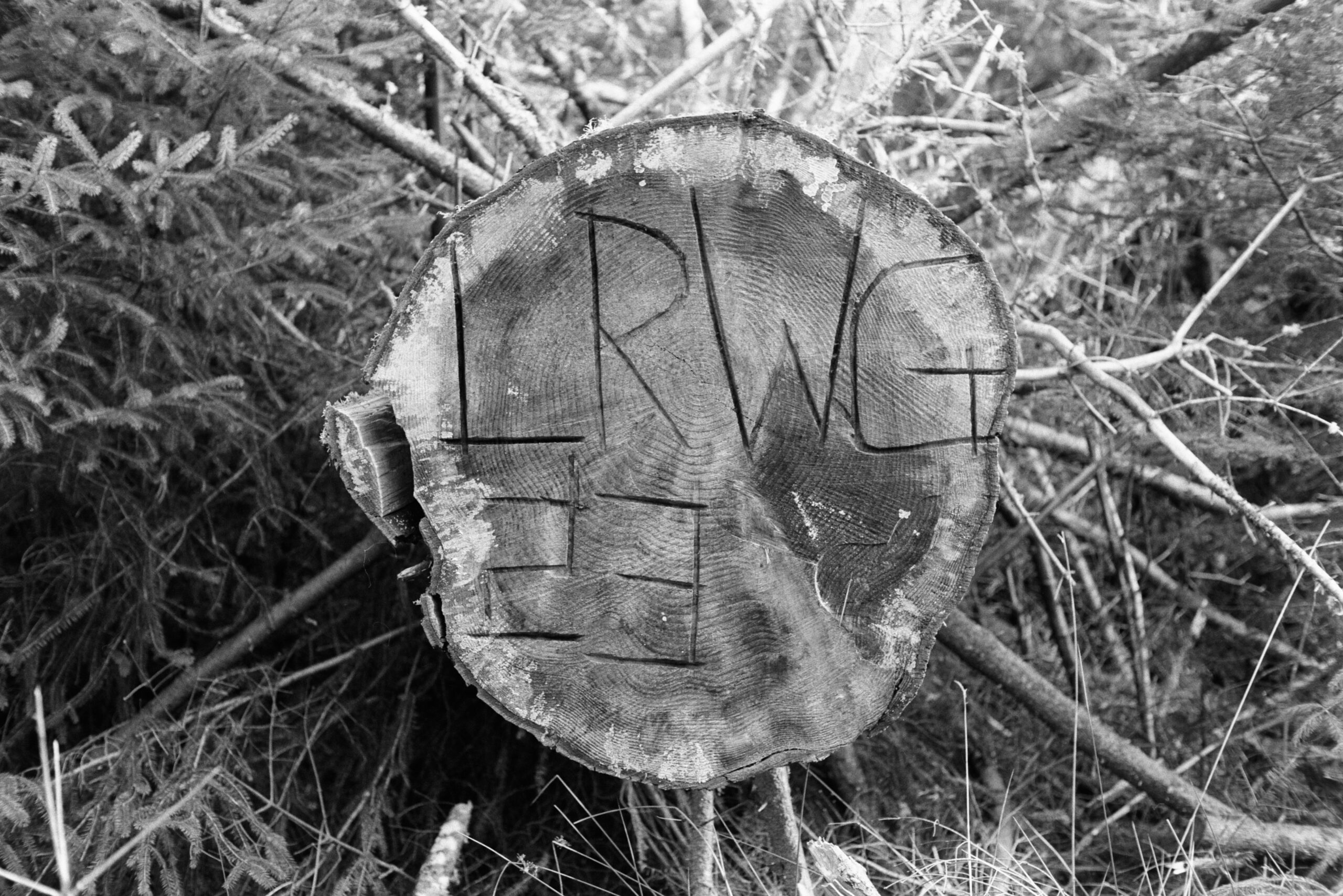 Bin Wood, February 25