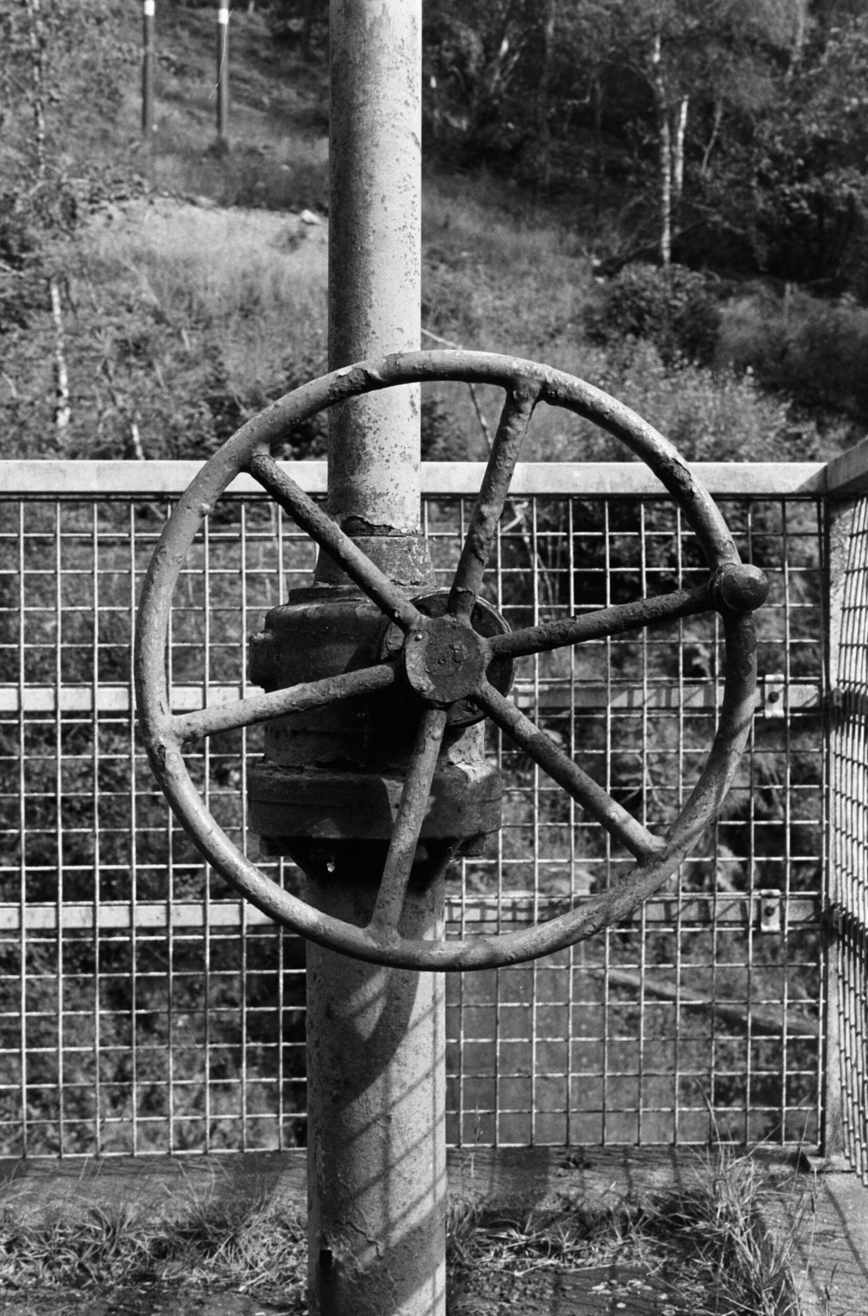 Glen Finglas, July 25