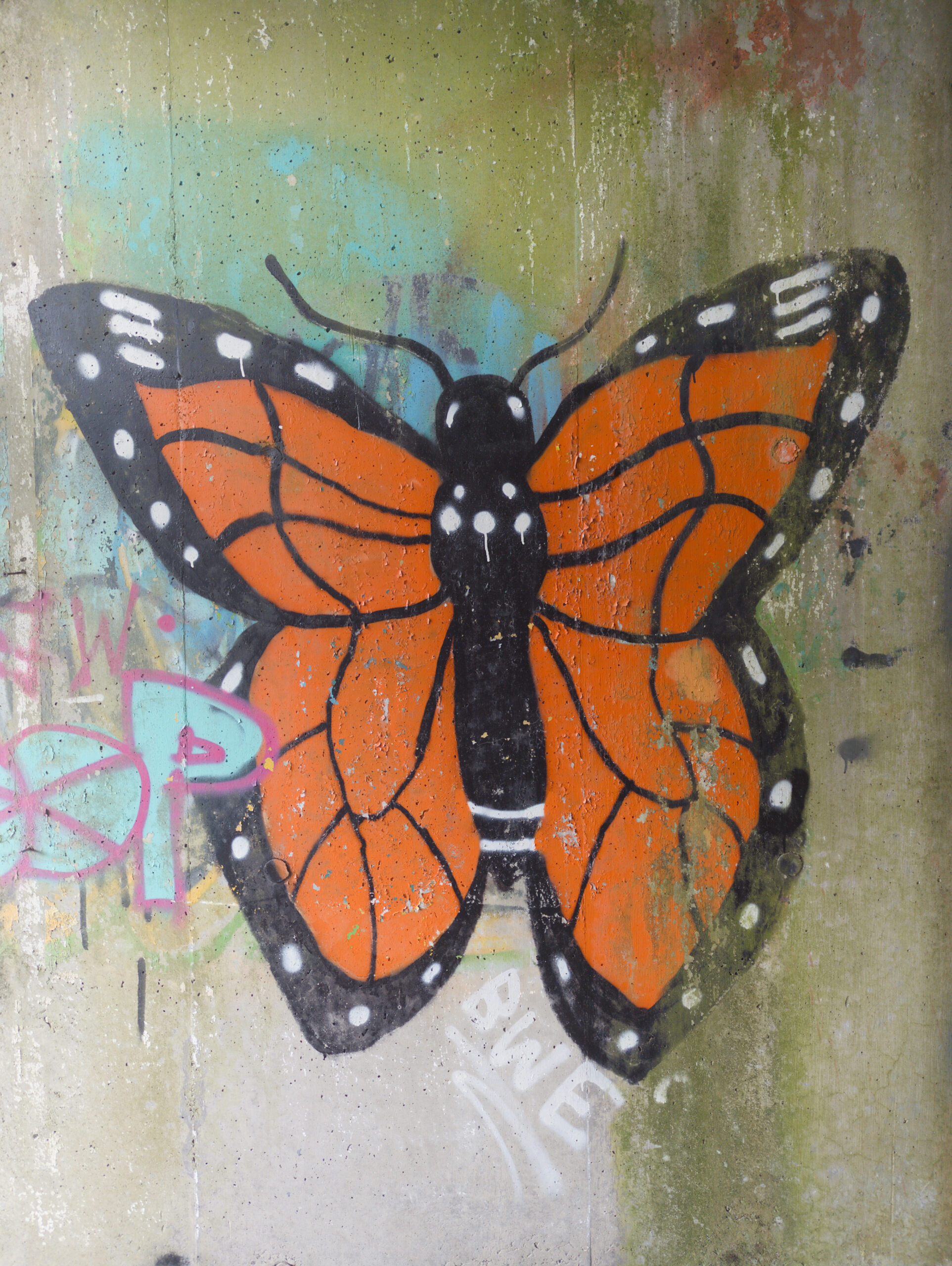 St. Peter’s Seminary, August 25
